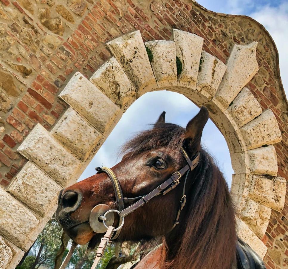 Tenuta I Mandorli Peccioli ภายนอก รูปภาพ